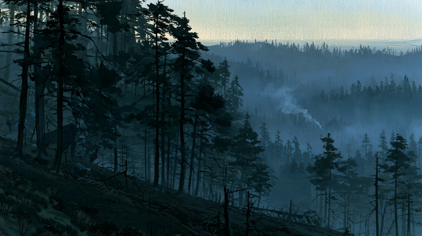 The High Country